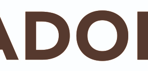 kadodis logo